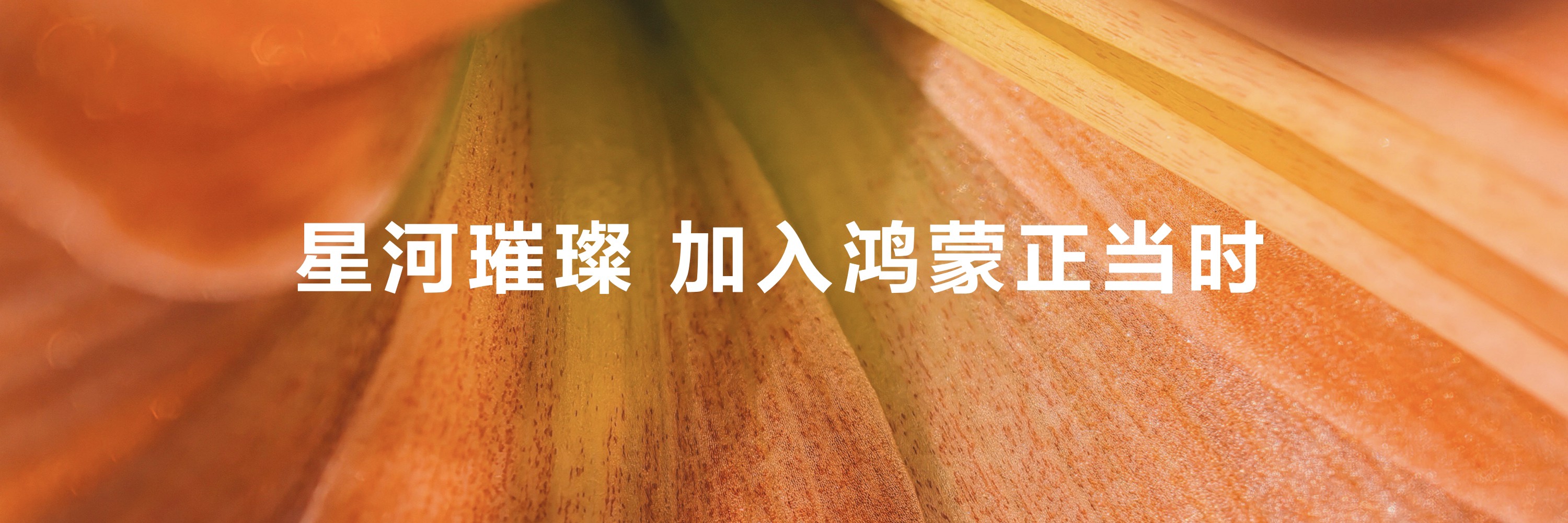 加入鴻蒙正當(dāng)時(shí).jpg