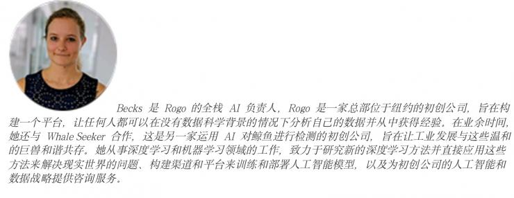 是AI還是人類  如何判斷文章是否為ChatGPT所寫？