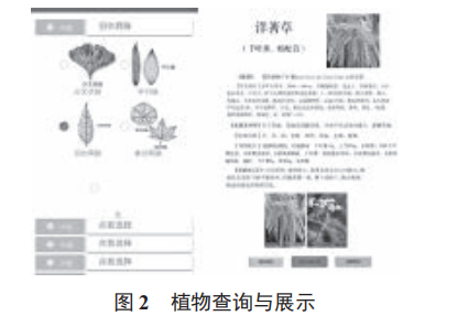 植物辨識(shí)交互系統(tǒng)的設(shè)計(jì)及實(shí)現(xiàn)