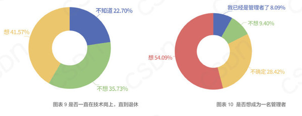 圖源:CSDN 發(fā)布的《2020 中國開發(fā)者調(diào)查報告》