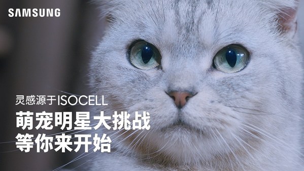 萌寵照片大集合，三星超高像素拍照征集活動(dòng)開始