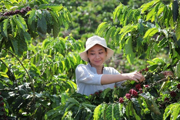 雀巢發(fā)布雀巢咖啡2030計劃
