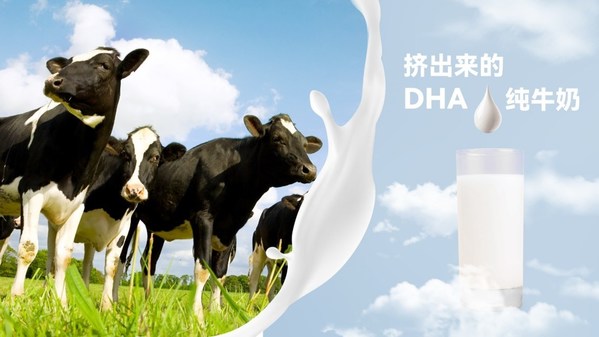 匯盛裂壺藻粉：國(guó)際領(lǐng)先的原生DHA乳制品四大發(fā)明專(zhuān)利
