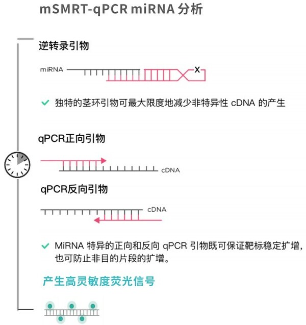 圖3.覓瑞獨特的三引物設計。