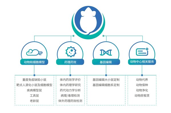 百奧賽圖升級兩大業(yè)務(wù)線，推出子品牌BioMice百奧動物，賦能全球創(chuàng)新藥物研發(fā)