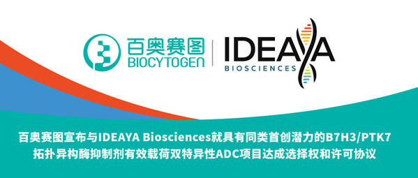 百奧賽圖宣布與IDEAYA Biosciences就具有同類首創(chuàng)潛力的B7H3/PTK7拓?fù)洚悩?gòu)酶抑制劑有效載荷雙特異性ADC項目達(dá)成選擇權(quán)和許可協(xié)議