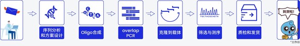 擎科生物基因合成流程圖