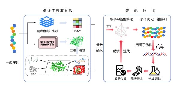 擎科AI平臺破解酶工程難題，助力產(chǎn)業(yè)升級