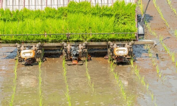 農(nóng)機水田作業(yè)的